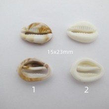 50 Pcs Perles coquillage Acryliques